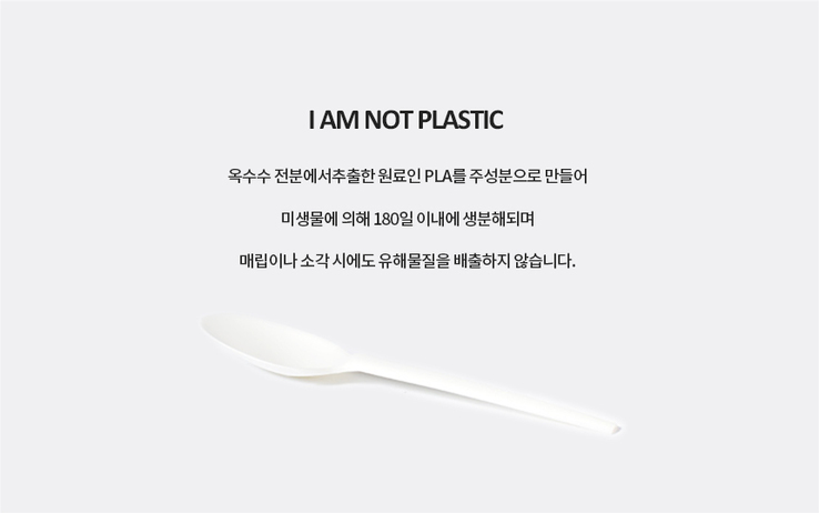 PLA 일회용 스푼 화이트 1000개